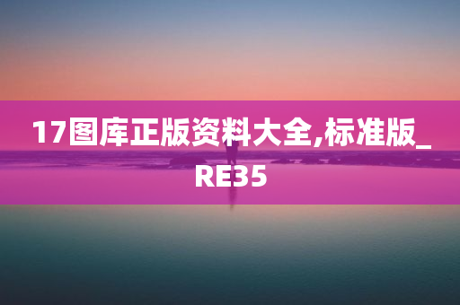 17图库正版资料大全,标准版_RE35