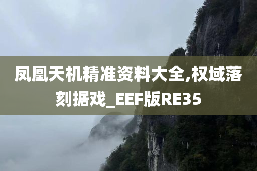 凤凰天机精准资料大全,权域落刻据戏_EEF版RE35