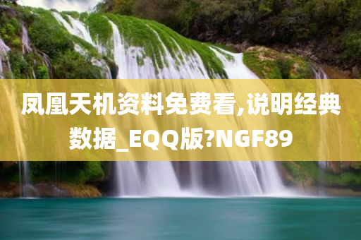 凤凰天机资料免费看,说明经典数据_EQQ版?NGF89