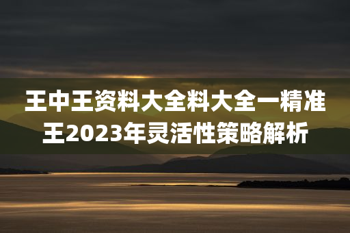 王中王资料大全料大全一精准王2023年灵活性策略解析