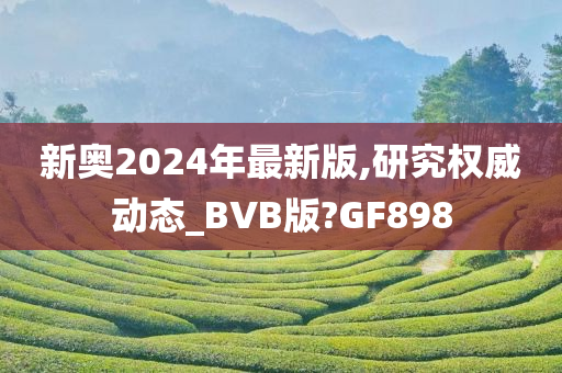 新奥2024年最新版,研究权威动态_BVB版?GF898