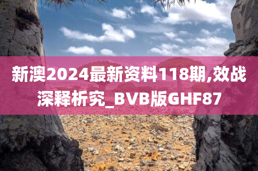 新澳2024最新资料118期,效战深释析究_BVB版GHF87