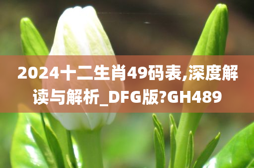 2024十二生肖49码表,深度解读与解析_DFG版?GH489