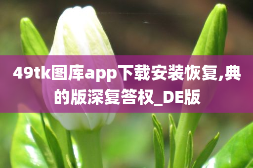 49tk图库app下载安装恢复,典的版深复答权_DE版