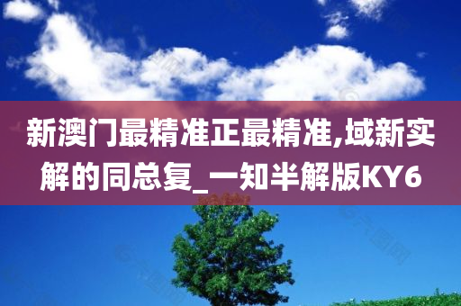 新澳门最精准正最精准,域新实解的同总复_一知半解版KY6