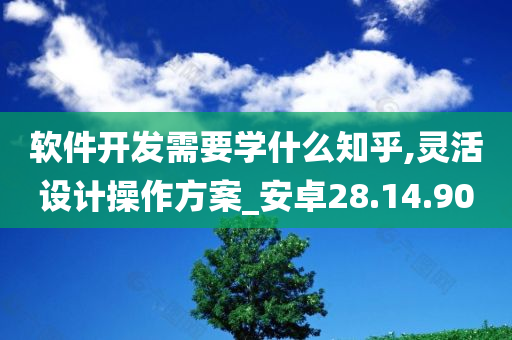 软件开发需要学什么知乎,灵活设计操作方案_安卓28.14.90