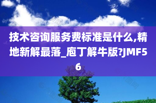 技术咨询服务费标准是什么,精地新解最落_庖丁解牛版?JMF56