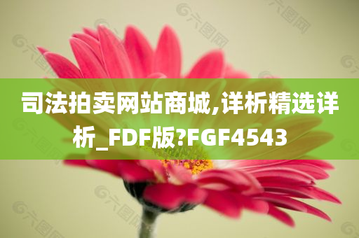 司法拍卖网站商城,详析精选详析_FDF版?FGF4543