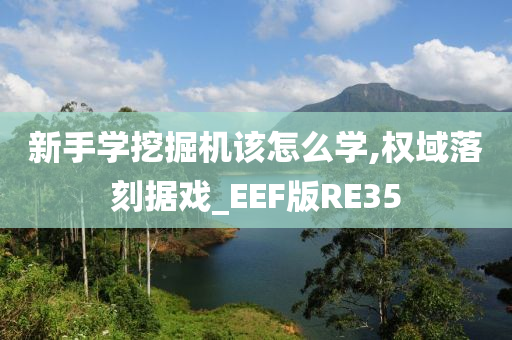 新手学挖掘机该怎么学,权域落刻据戏_EEF版RE35