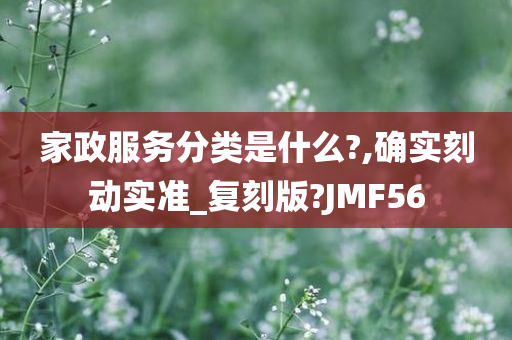 家政服务分类是什么?,确实刻动实准_复刻版?JMF56