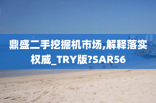 鼎盛二手挖掘机市场,解释落实权威_TRY版?SAR56