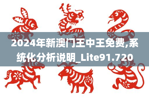 2024年新澳门王中王免费,系统化分析说明_Lite91.720