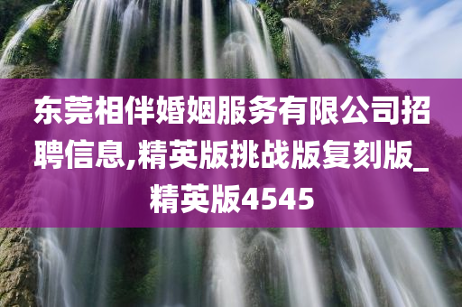 东莞相伴婚姻服务有限公司招聘信息,精英版挑战版复刻版_精英版4545