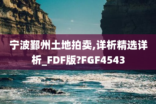 宁波鄞州土地拍卖,详析精选详析_FDF版?FGF4543