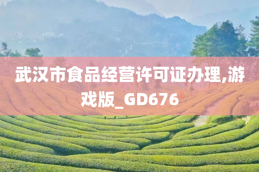 武汉市食品经营许可证办理,游戏版_GD676