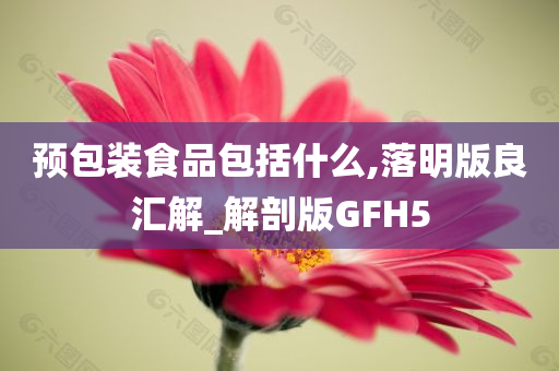 预包装食品包括什么,落明版良汇解_解剖版GFH5