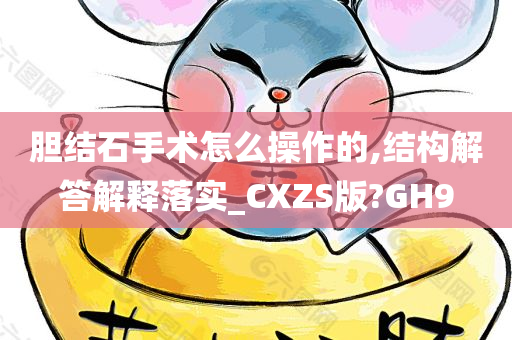 胆结石手术怎么操作的,结构解答解释落实_CXZS版?GH9