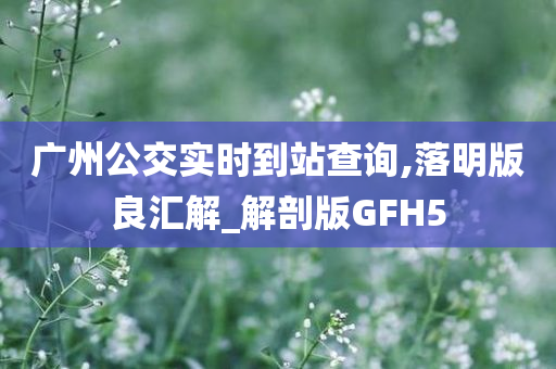 广州公交实时到站查询,落明版良汇解_解剖版GFH5