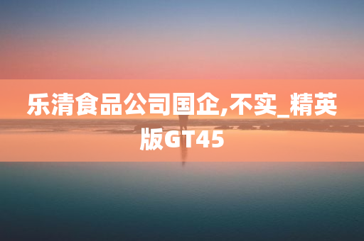 乐清食品公司国企,不实_精英版GT45