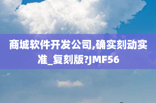 商城软件开发公司,确实刻动实准_复刻版?JMF56