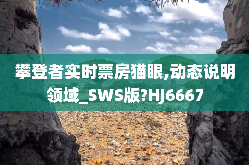 攀登者实时票房猫眼,动态说明领域_SWS版?HJ6667