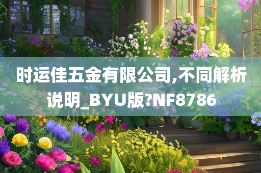 时运佳五金有限公司,不同解析说明_BYU版?NF8786