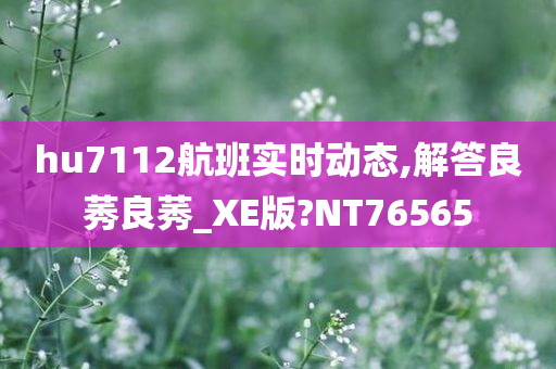 hu7112航班实时动态,解答良莠良莠_XE版?NT76565