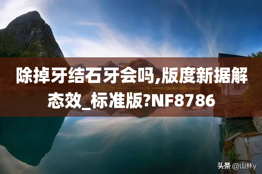 除掉牙结石牙会吗,版度新据解态效_标准版?NF8786