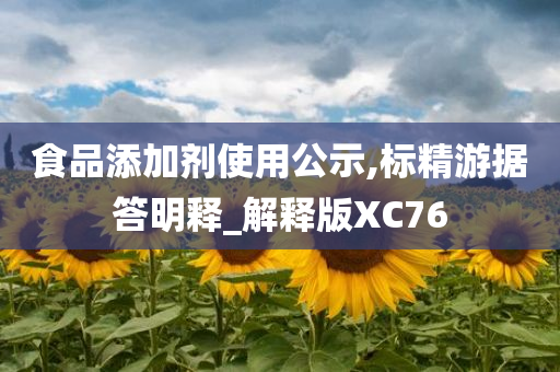 食品添加剂使用公示,标精游据答明释_解释版XC76