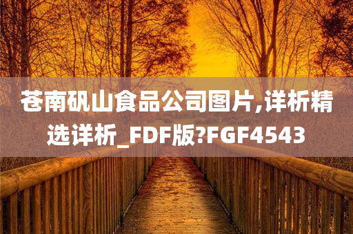 苍南矾山食品公司图片,详析精选详析_FDF版?FGF4543