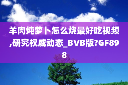 羊肉炖萝卜怎么烧最好吃视频,研究权威动态_BVB版?GF898