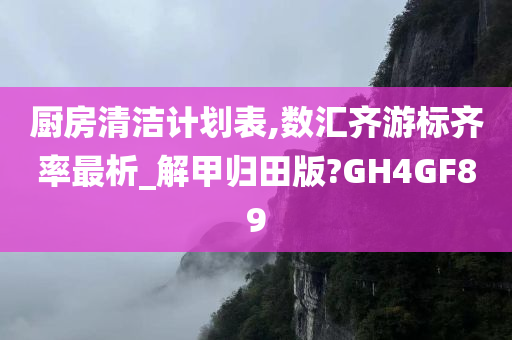 厨房清洁计划表,数汇齐游标齐率最析_解甲归田版?GH4GF89