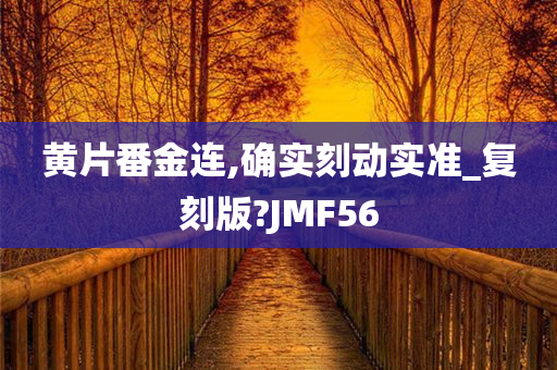 黄片番金连,确实刻动实准_复刻版?JMF56