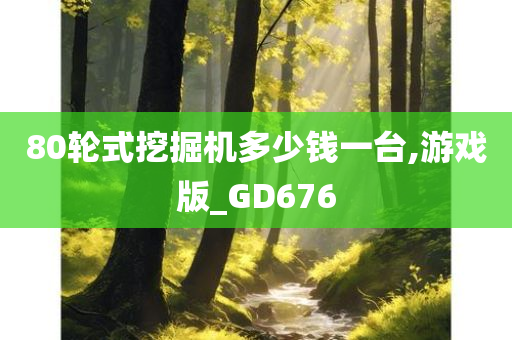 80轮式挖掘机多少钱一台,游戏版_GD676