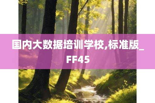 国内大数据培训学校,标准版_FF45