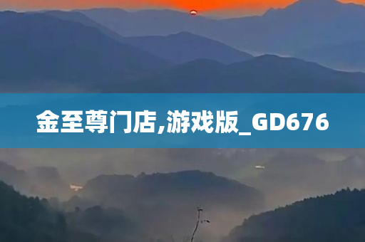 金至尊门店,游戏版_GD676