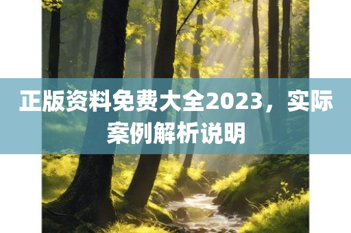 正版资料免费大全2023，实际案例解析说明