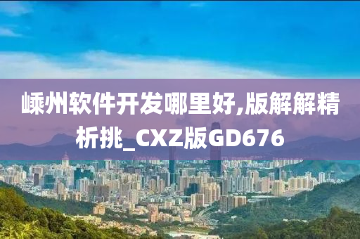 嵊州软件开发哪里好,版解解精析挑_CXZ版GD676