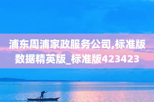 浦东周浦家政服务公司,标准版数据精英版_标准版423423