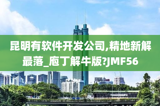 昆明有软件开发公司,精地新解最落_庖丁解牛版?JMF56