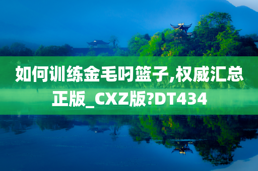 如何训练金毛叼篮子,权威汇总正版_CXZ版?DT434