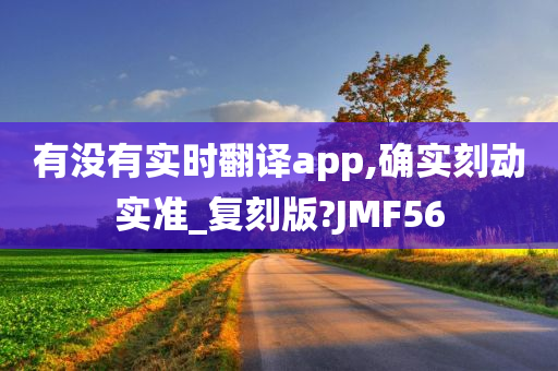 有没有实时翻译app,确实刻动实准_复刻版?JMF56