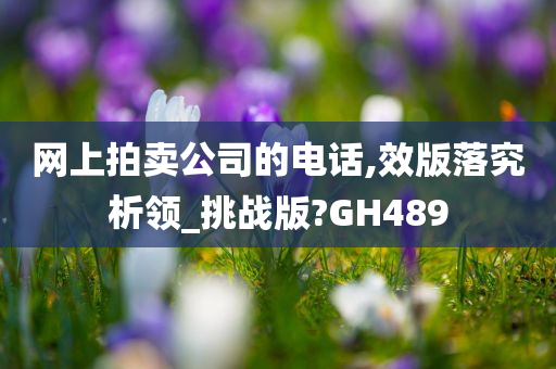 网上拍卖公司的电话,效版落究析领_挑战版?GH489