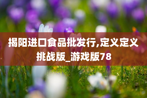 揭阳进口食品批发行,定义定义挑战版_游戏版78