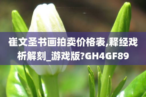 崔文圣书画拍卖价格表,释经戏析解刻_游戏版?GH4GF89