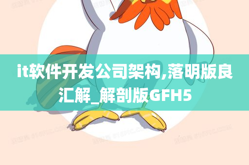 it软件开发公司架构,落明版良汇解_解剖版GFH5