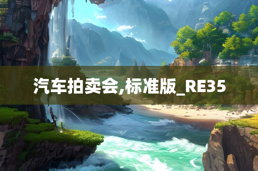 汽车拍卖会,标准版_RE35