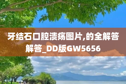 牙结石口腔溃疡图片,的全解答解答_DD版GW5656