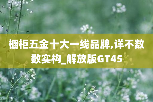 橱柜五金十大一线品牌,详不数数实构_解放版GT45