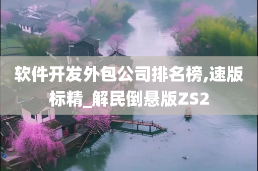 软件开发外包公司排名榜,速版标精_解民倒悬版ZS2